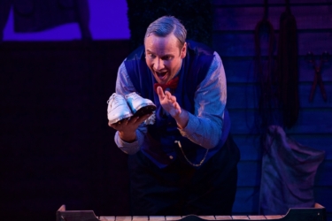 The Elves and The Shoemaker 2017