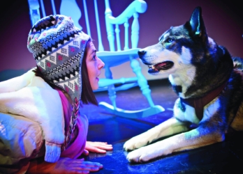 The Snowdog 2011-2014