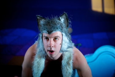 The Snowdog 2011-2014